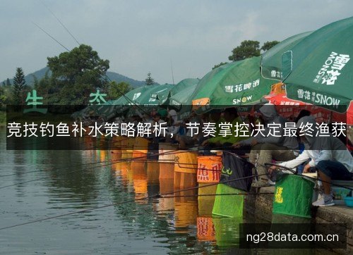 竞技钓鱼补水策略解析，节奏掌控决定最终渔获